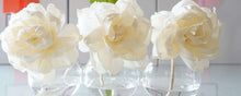 Load image into Gallery viewer, B’s Knees Peony