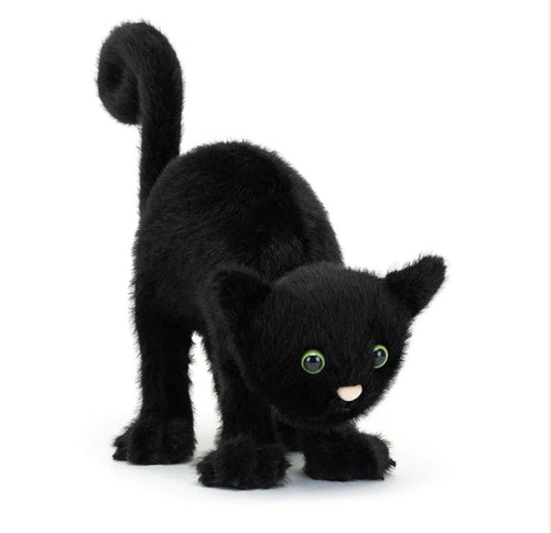 Spookipaws Cat