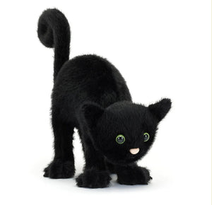 Spookipaws Cat