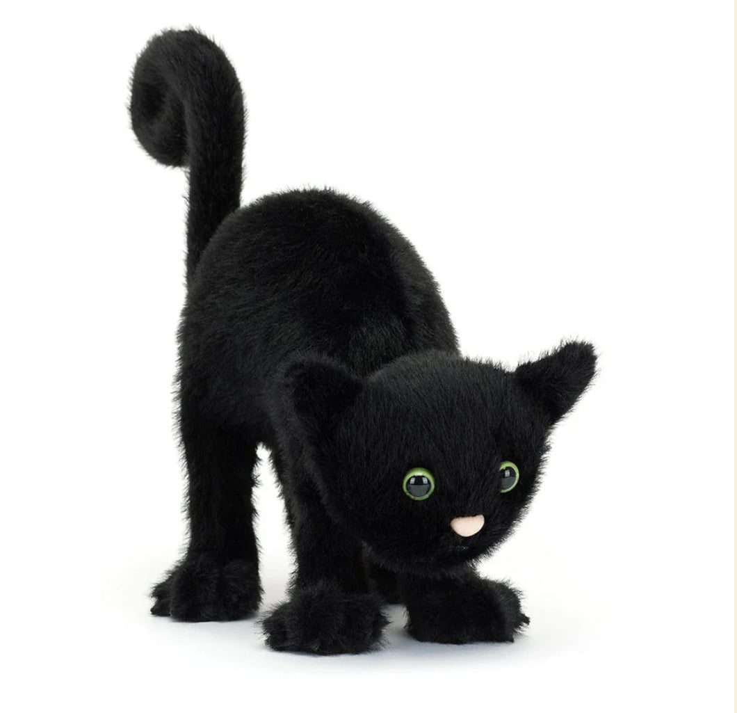 Spookipaws Cat