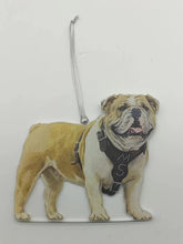 Load image into Gallery viewer, Acrylic Ornament