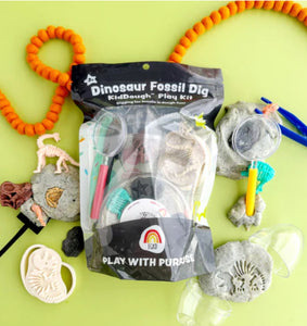 Play Dough Kit