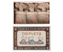 Load image into Gallery viewer, Baby Mice in Matchbox Triplets