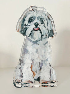 Chelsea McShane Animal Acrylic Art