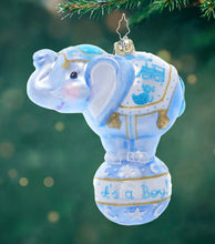 Load image into Gallery viewer, Blown Glass Ornament