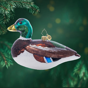 Blown Glass Ornament