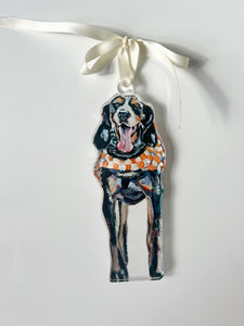 Collegiate Acrylic Ornaments