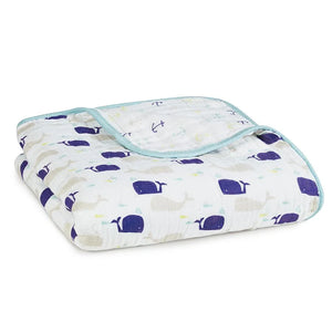 Dream Blanket