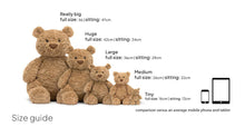 Load image into Gallery viewer, Tiny Bartholomew Bear