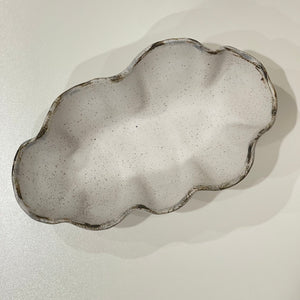 Flutter Dish