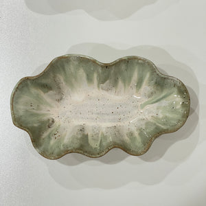 Flutter Dish