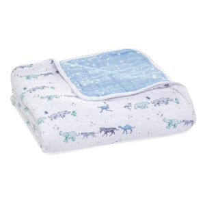 Dream Blanket
