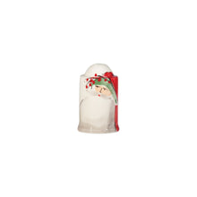 Load image into Gallery viewer, Old St. Nick Salt and Pepper Shakers
